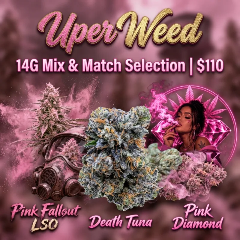 Best Bud Bonfire | 14G Mix & Match $110