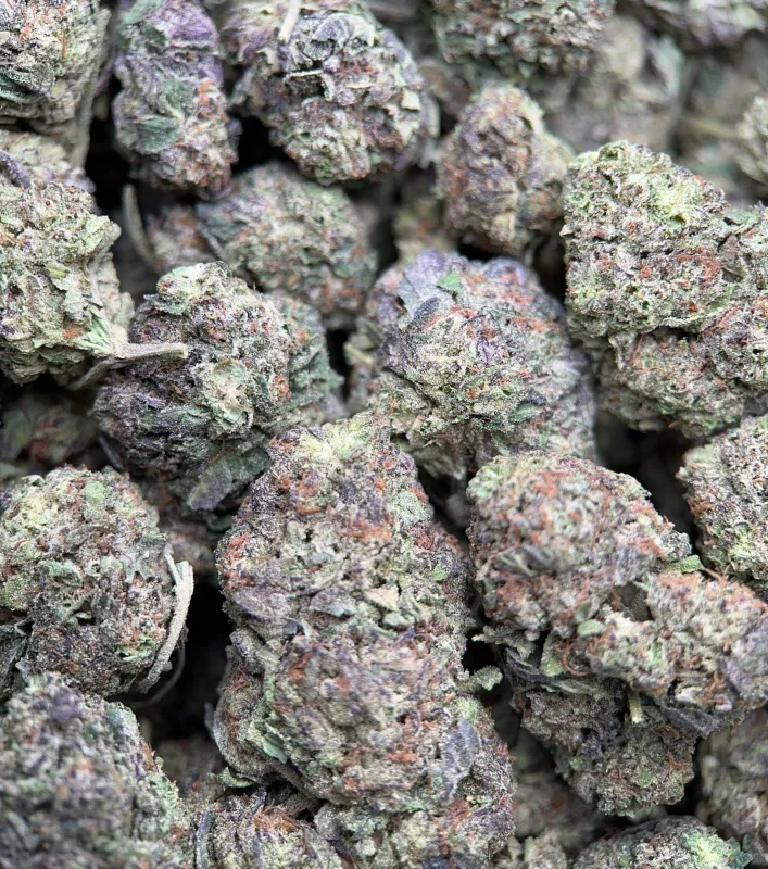 Astro Mints photo 6