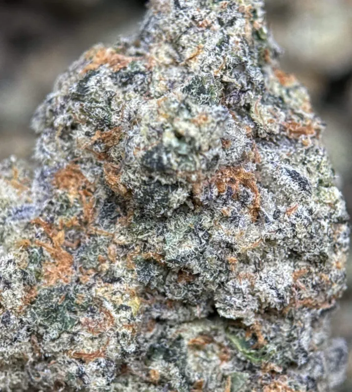 Banana OG photo 4
