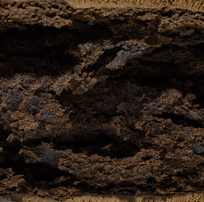 Banana OG Kush Hash photo 2