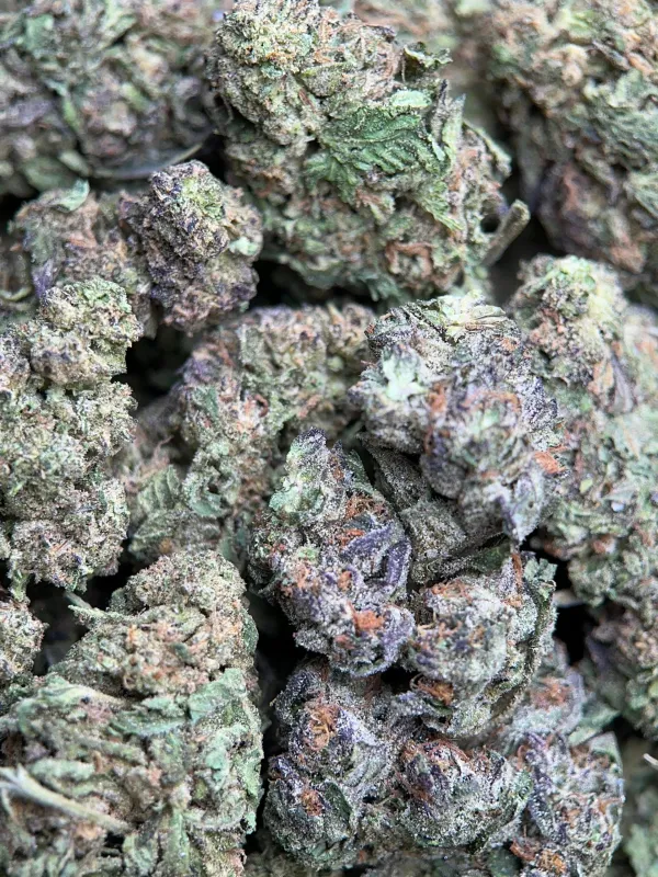 Blue Cookies photo 7