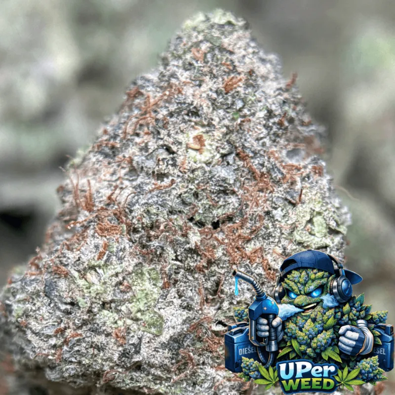 Blue Diesel photo 4
