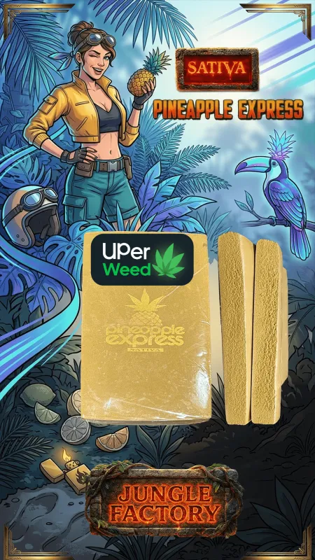 Bueno Hash photo 11