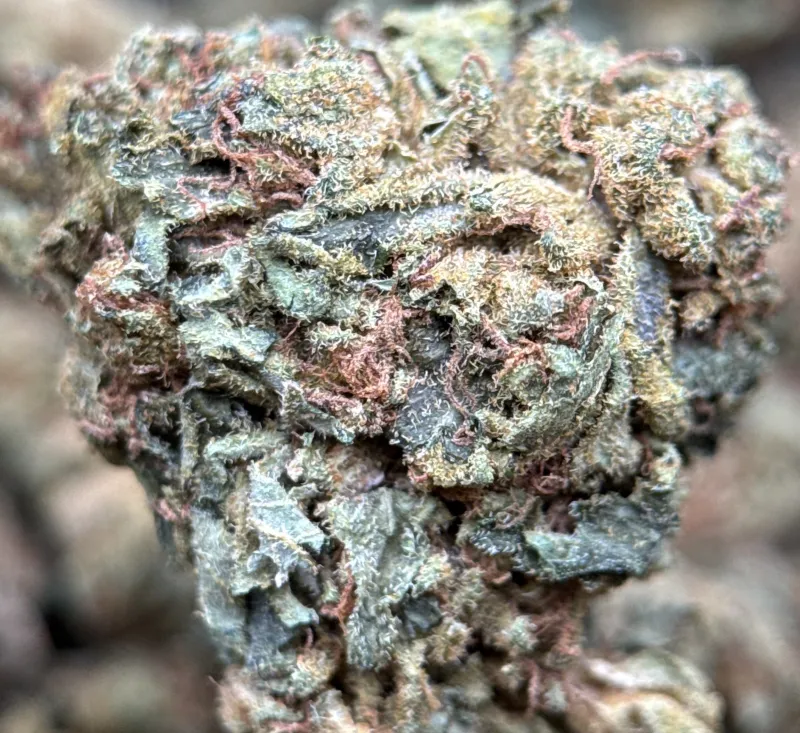 Sour Diesel 2 photo 6